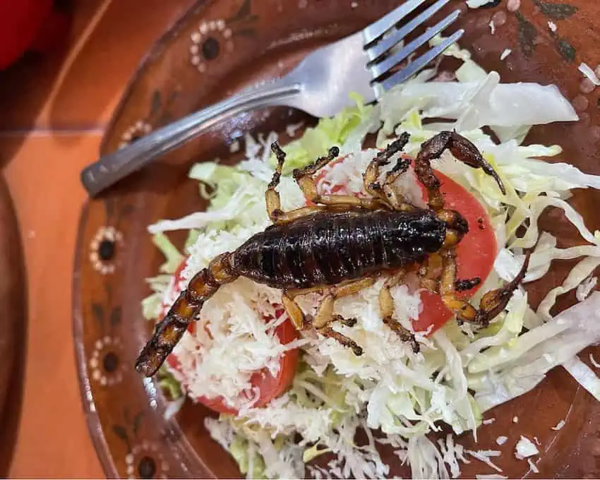 Tacos de alacrán